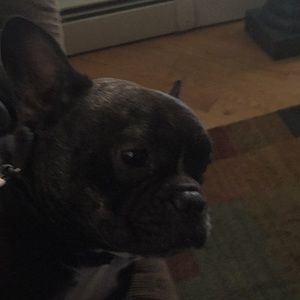 Meet your Posher, David